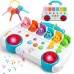 Kinderspielzeug ab 1 Jahre, Montessori Spielzeug ab 1 Jahr Musik Baby Spielzeug ab 1 Jahre mit Licht & Klang Schlüsseltier Motorikspielzeug Musikspielzeug Geschenke Spiel ab 1 2 Jahr Mädchen Junge